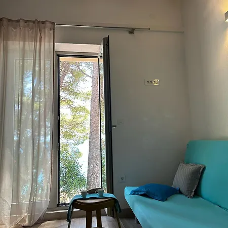 公寓 In Ruza Beachfront Elegance On Europes