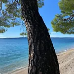 Beachfront In Ruza At Punta Rata * بريلا